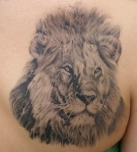 modele-tatouage-lion-realiste